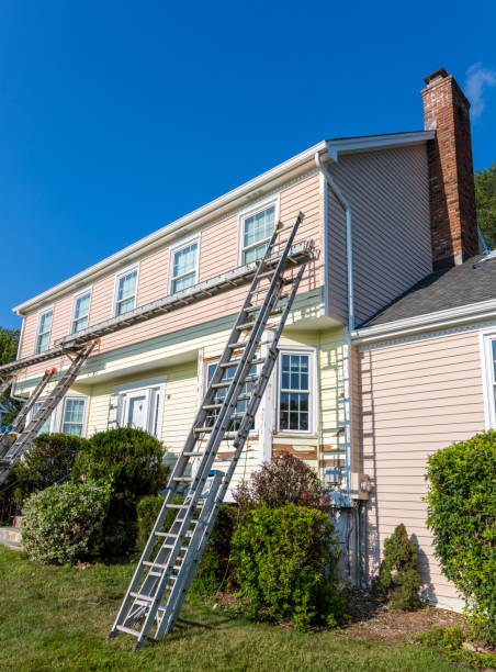 Best Carpet Removal and Disposal  in Odessa, MO